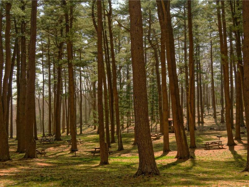 android screenshot 2